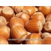 100% organic- grade a-high quality UN BLANCHED HAZELNUT, A GRADE HAZEL NUTS, HAZELN