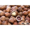 Hazelnuts