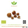 Organic Hazelnuts