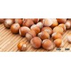 Quality Hazelnut Kernel For Sale