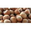 Hazelnut kernels,Hazelnut in shell, Organic hazelnut