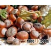 cooked Hazel nuts HAZEL NUT DRIED FRUIT dried hazelnut Quality Kernels grade A for sale