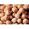 Hazelnut