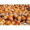 hazelnut