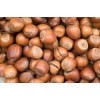 HAZEL NUT DRIED FRUIT dried hazelnut Quality Hazel Nuts grade A for sale