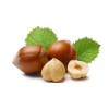 Best quality Organic Hazelnuts