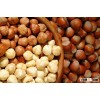 Hazelnut New Season Seeds