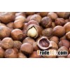Quality raw hazelnuts in shell