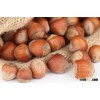 Hazelnut Nut Roasted Nut Shelled Nut Hazelnut Kernels