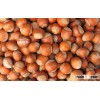 Raw and fried hazel nuts, cashew nuts, almond nuts walnuts pistachio, and othe...