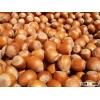 Tie Ling Hazelnuts