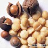Best Quality Macadamia Nut