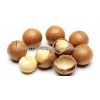 Organic Macadamia Nuts With High Quality