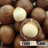 Whole and split Macadamia nuts and kennels