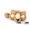 Macadamia nuts
