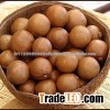 High Quality Macadamia Nuts