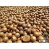 High Quality organic macadamia nuts