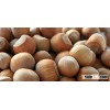 HAZEL NUT, CASHEW NUTS, CHEST NUT, DRIED KERNELS, FOR SALE