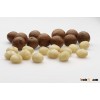 Roasted and salted Macadamia Nuts / Organic Macadamia Nuts
