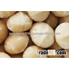 macadamia nuts