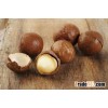 Best Quality Macadamia Nuts For Sale