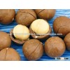 Cheap Macadamia Nuts with High Quality