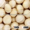 21-24mm Macadamia Nuts