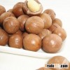 Raw Macadamia Nuts - Best Prices