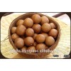 Vietnam macadamia nut with best quality