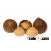 Macadamia Nuts