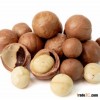 Organic Macadamia Nuts With High Quality