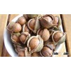 Perfect Macadamia Nuts For Sale