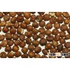 Macadamia Nuts