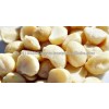 Macadamia Nut, Raw Macadamia Nuts, Roasted and salted Macadamia Nuts for sale