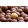 Macadamia Nut Kernels Premium Macadamia Nuts Kernals (Shell Macadamia Nut Kernels For Sale