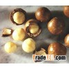 Buy the bes Macadamia Nut