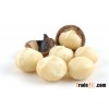 Best Grade A Quality Raw Organic Macadamia Nuts