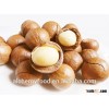 organic macadamia nuts