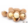 Raw Macadamia Nuts