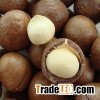 Shelled Macadamia nuts cheap price