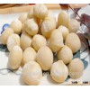 Raw macadamia kernel for export