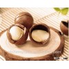 Chinese in shell macadamia nuts