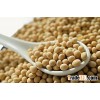 Top Best Macadamia Nuts For Sale