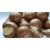 Premium Macadamia Nuts Kernels (Shell Macadamia Nut Kernels )