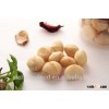 Macadamia nut in shell, macadamia nut kernel