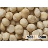 Blanched macadamia nuts.