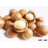 Chinese Macadamia nuts for wholesale, high quality, good price