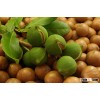 Origenal Macadamia Nuts For Sale