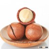 King of nut Macadamia nut