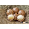 Shelled Macadamia Nuts Price Bulk Macadamia for Sale